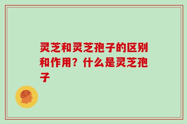 灵芝和灵芝孢子的区别和作用？什么是灵芝孢子