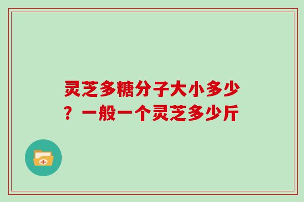 灵芝多糖分子大小多少？一般一个灵芝多少斤