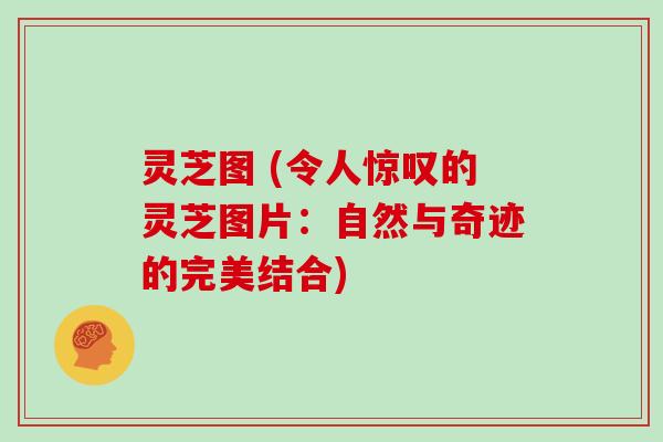 灵芝图 (令人惊叹的灵芝图片：自然与奇迹的完美结合)
