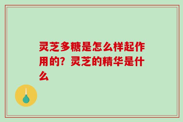 灵芝多糖是怎么样起作用的?灵芝的精华是什么 灵芝多糖是怎么样起作用的?灵芝的精华是什么
