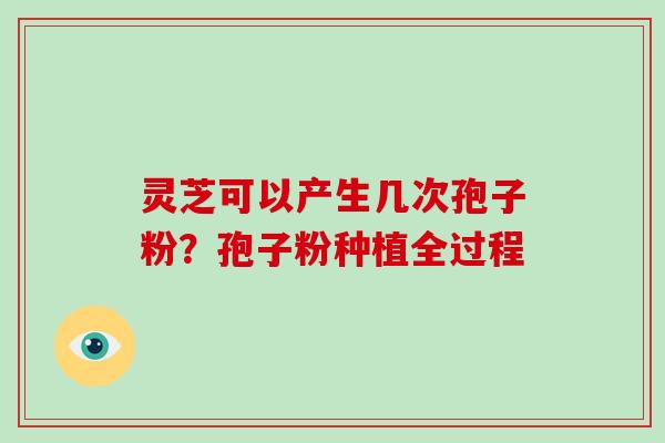 灵芝可以产生几次孢子粉?孢子粉种植全过程 灵芝可以产生几次孢子粉?孢子粉种植全过程
