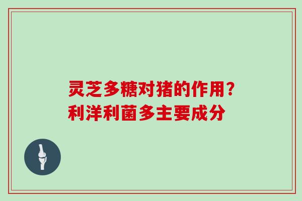 灵芝多糖对猪的作用?利洋利菌多主要成分 灵芝多糖对猪的作用?利洋利菌多主要成分