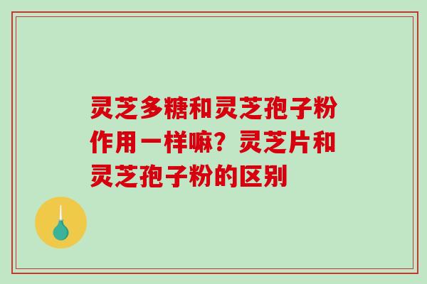 灵芝多糖和灵芝孢子粉作用一样嘛?灵芝片和灵芝孢子粉的区别 灵芝多糖和灵芝孢子粉作用一样嘛?灵芝片和灵芝孢子粉的区别