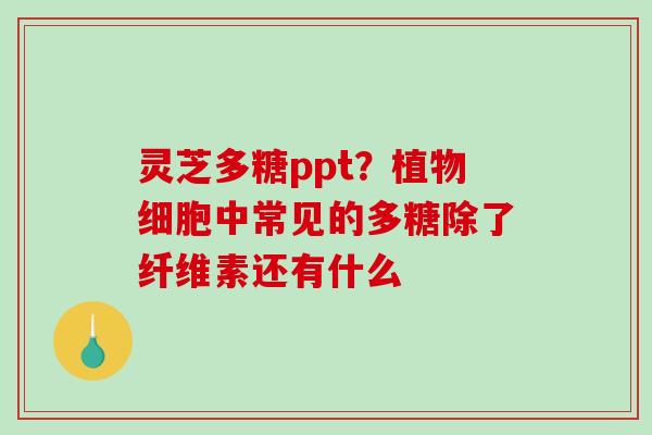 灵芝多糖ppt?植物细胞中常见的多糖除了纤维素还有什么 灵芝多糖ppt?植物细胞中常见的多糖除了纤维素还有什么