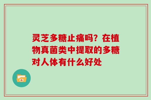 灵芝多糖吗?在植物真菌类中提取的多糖对人体有什么好处 灵芝多糖吗?在植物真菌类中提取的多糖对人体有什么好处