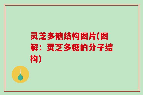 灵芝多糖结构图片(图解:灵芝多糖的分子结构) 灵芝多糖结构图片(图解:灵芝多糖的分子结构)