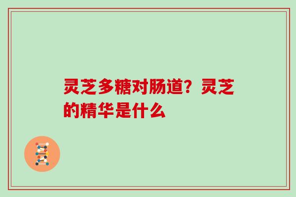 灵芝多糖对肠道?灵芝的精华是什么 灵芝多糖对肠道?灵芝的精华是什么