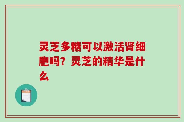 灵芝多糖可以激活细胞吗?灵芝的精华是什么 灵芝多糖可以激活细胞吗?灵芝的精华是什么