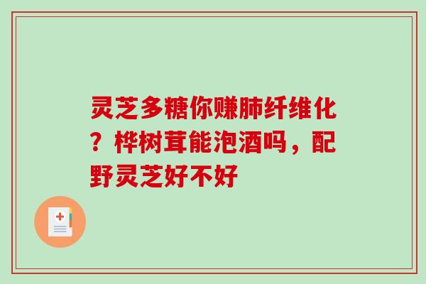 灵芝多糖你赚纤维化?桦树茸能泡酒吗,配野灵芝好不好 灵芝多糖你赚纤维化?桦树茸能泡酒吗,配野灵芝好不好