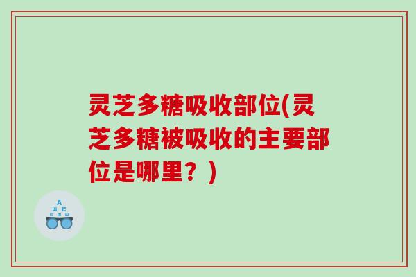 灵芝多糖吸收部位(灵芝多糖被吸收的主要部位是哪里?) 灵芝多糖吸收部位(灵芝多糖被吸收的主要部位是哪里?)