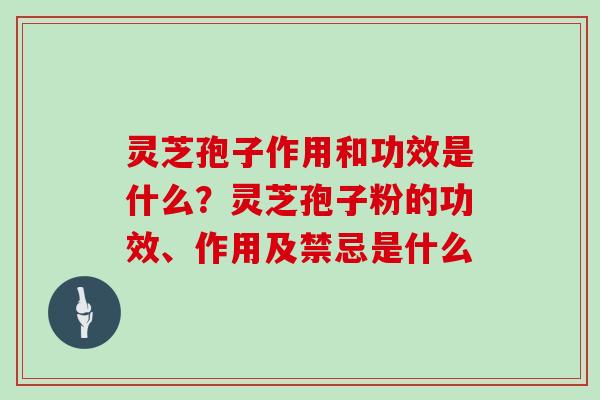 灵芝孢子作用和功效是什么?灵芝孢子粉的功效、作用及禁忌是什么 灵芝孢子作用和功效是什么?灵芝孢子粉的功效、作用及禁忌是什么