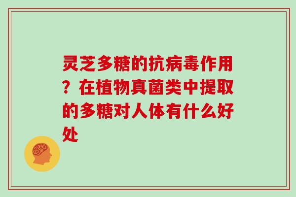 灵芝多糖的抗作用?在植物真菌类中提取的多糖对人体有什么好处 灵芝多糖的抗作用?在植物真菌类中提取的多糖对人体有什么好处
