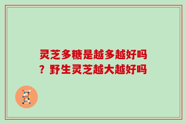 灵芝多糖是越多越好吗?野生灵芝越大越好吗 灵芝多糖是越多越好吗?野生灵芝越大越好吗