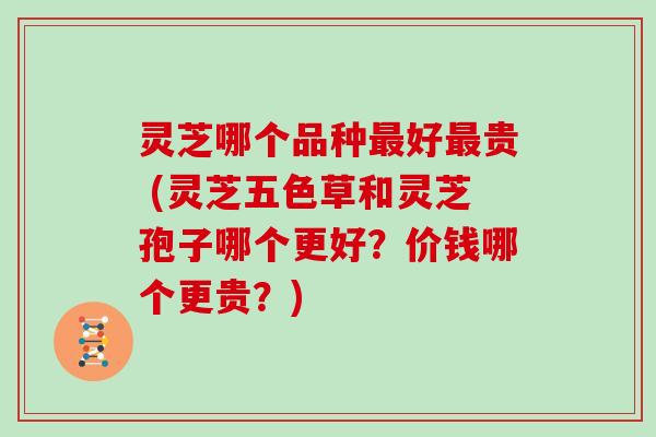 灵芝哪个品种好贵 (灵芝五色草和灵芝孢子哪个更好?价钱哪个更贵?) 灵芝哪个品种好贵 (灵芝五色草和灵芝孢子哪个更好?价钱哪个更贵?)