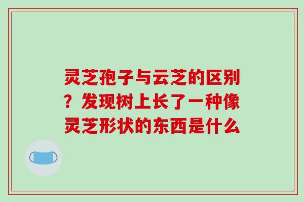 灵芝孢子与云芝的区别?发现树上长了一种像灵芝形状的东西是什么 灵芝孢子与云芝的区别?发现树上长了一种像灵芝形状的东西是什么
