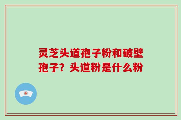 灵芝头道孢子粉和破壁孢子?头道粉是什么粉 灵芝头道孢子粉和破壁孢子?头道粉是什么粉
