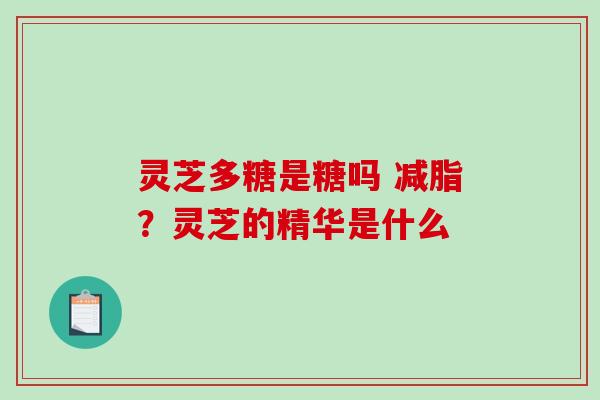 灵芝多糖是糖吗 减脂？灵芝的精华是什么