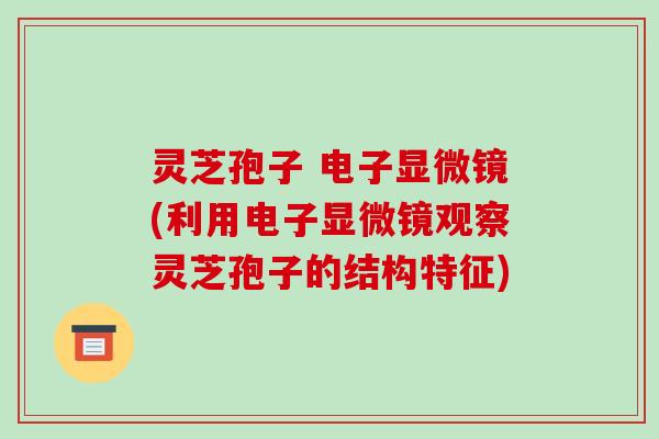 灵芝孢子 电子显微镜(利用电子显微镜观察灵芝孢子的结构特征) 灵芝孢子 电子显微镜(利用电子显微镜观察灵芝孢子的结构特征)