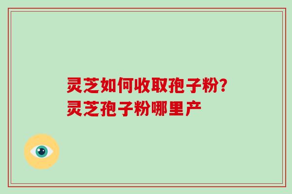 灵芝如何收取孢子粉?灵芝孢子粉哪里产 灵芝如何收取孢子粉?灵芝孢子粉哪里产