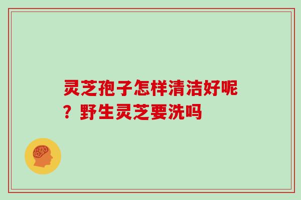 灵芝孢子怎样清洁好呢？野生灵芝要洗吗