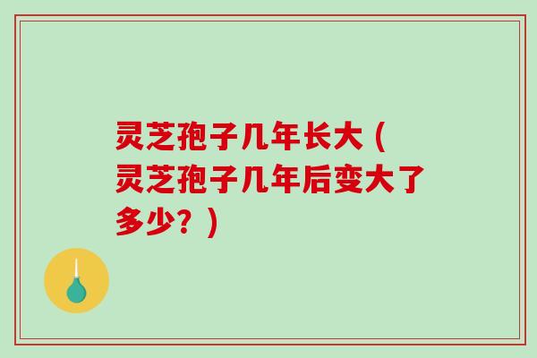 灵芝孢子几年长大 (灵芝孢子几年后变大了多少？)