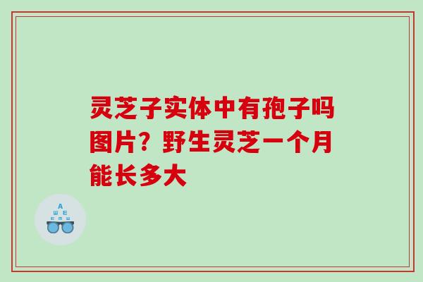灵芝子实体中有孢子吗图片?野生灵芝一个月能长多大 灵芝子实体中有孢子吗图片?野生灵芝一个月能长多大
