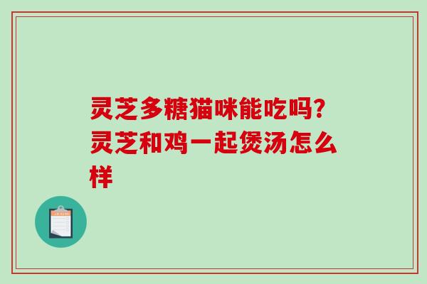 灵芝多糖猫咪能吃吗？灵芝和鸡一起煲汤怎么样