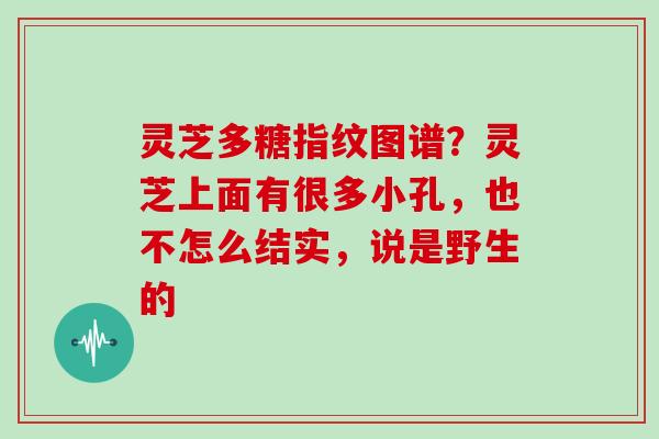 灵芝多糖指纹图谱？灵芝上面有很多小孔，也不怎么结实，说是野生的