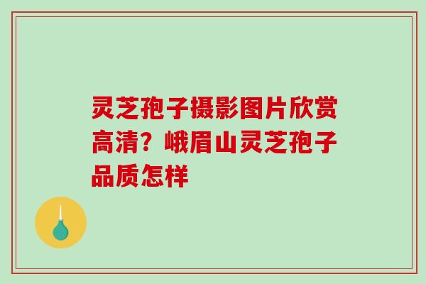 灵芝孢子摄影图片欣赏高清?峨眉山灵芝孢子品质怎样 灵芝孢子摄影图片欣赏高清?峨眉山灵芝孢子品质怎样