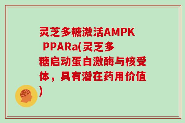 灵芝多糖激活AMPK PPARa(灵芝多糖启动蛋白激酶与核受体,具有潜在药用价值) 灵芝多糖激活AMPK PPARa(灵芝多糖启动蛋白激酶与核受体,具有潜在药用价值)