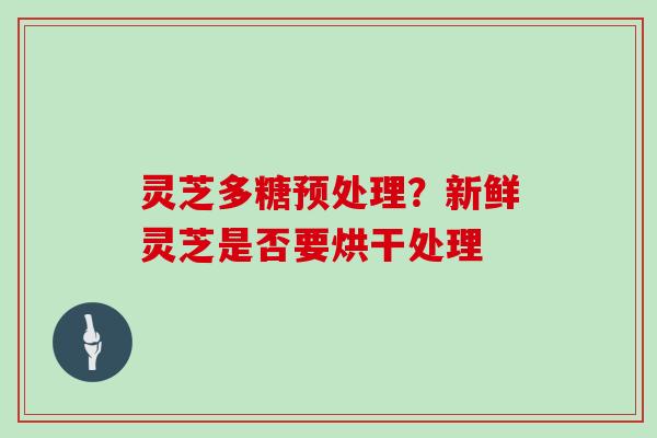 灵芝多糖预处理？新鲜灵芝是否要烘干处理