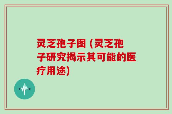 灵芝孢子图 (灵芝孢子研究揭示其可能的医疗用途) 灵芝孢子图 (灵芝孢子研究揭示其可能的医疗用途)