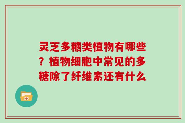 灵芝多糖类植物有哪些？植物细胞中常见的多糖除了纤维素还有什么