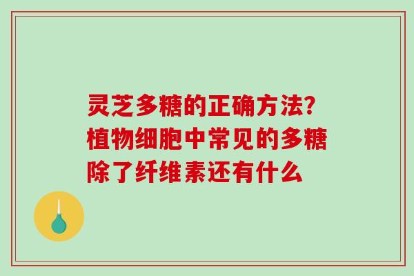 灵芝多糖的正确方法？植物细胞中常见的多糖除了纤维素还有什么