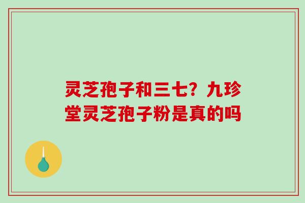 灵芝孢子和三七?九珍堂灵芝孢子粉是真的吗 灵芝孢子和三七?九珍堂灵芝孢子粉是真的吗