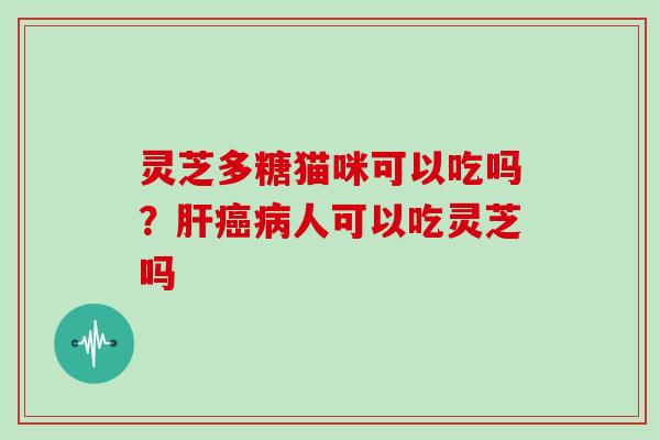 灵芝多糖猫咪可以吃吗?人可以吃灵芝吗 灵芝多糖猫咪可以吃吗?人可以吃灵芝吗