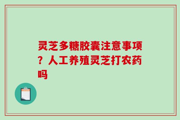 灵芝多糖胶囊注意事项?人工养殖灵芝打农药吗 灵芝多糖胶囊注意事项?人工养殖灵芝打农药吗