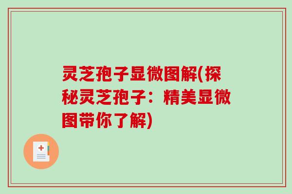 灵芝孢子显微图解(探秘灵芝孢子：精美显微图带你了解)