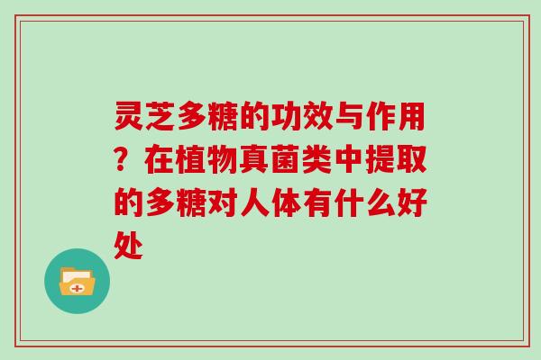 灵芝多糖的功效与作用？在植物真菌类中提取的多糖对人体有什么好处
