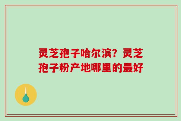 灵芝孢子哈尔滨？灵芝孢子粉产地哪里的好