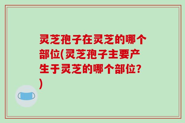 灵芝孢子在灵芝的哪个部位(灵芝孢子主要产生于灵芝的哪个部位？)