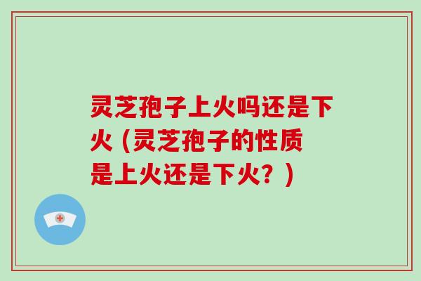 灵芝孢子上火吗还是下火 (灵芝孢子的性质是上火还是下火？)