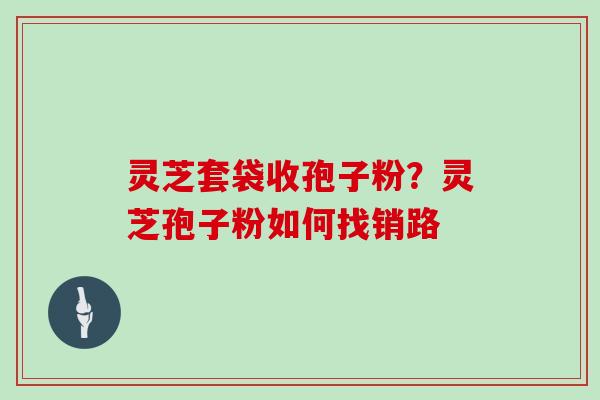 灵芝套袋收孢子粉？灵芝孢子粉如何找销路