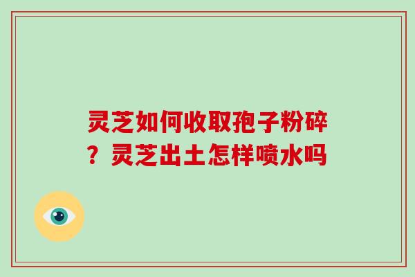 灵芝如何收取孢子粉碎？灵芝出土怎样喷水吗