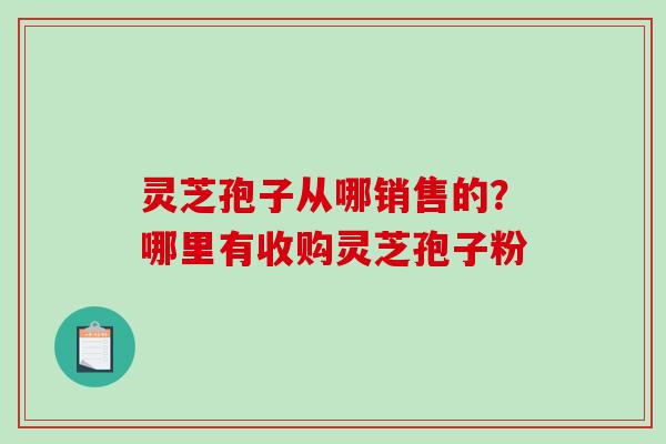 灵芝孢子从哪销售的？哪里有收购灵芝孢子粉