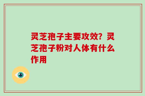 灵芝孢子主要攻效？灵芝孢子粉对人体有什么作用