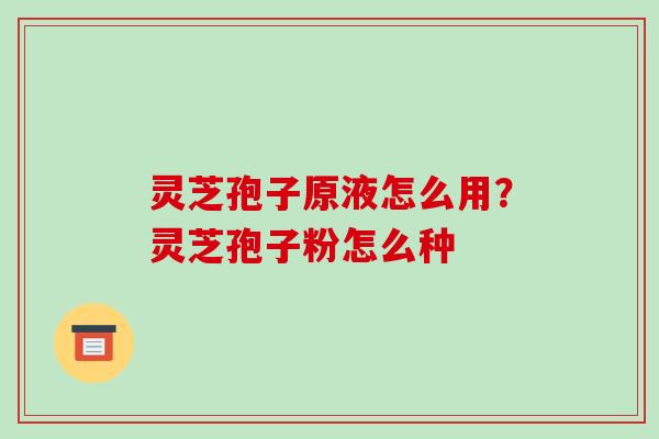 灵芝孢子原液怎么用？灵芝孢子粉怎么种