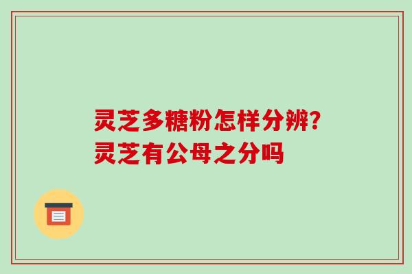 灵芝多糖粉怎样分辨？灵芝有公母之分吗