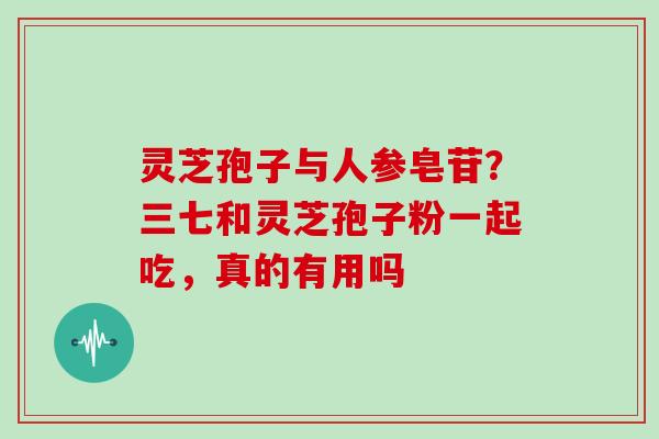 灵芝孢子与人参皂苷？三七和灵芝孢子粉一起吃，真的有用吗