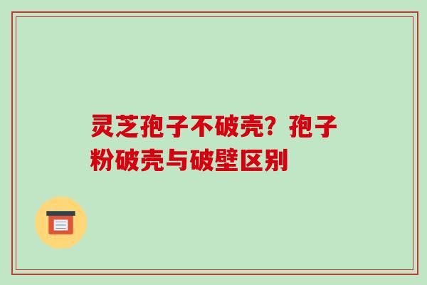 灵芝孢子不破壳？孢子粉破壳与破壁区别